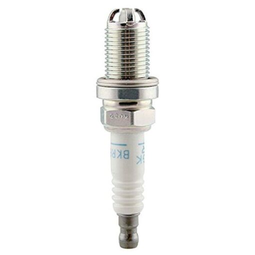 S3555146_0